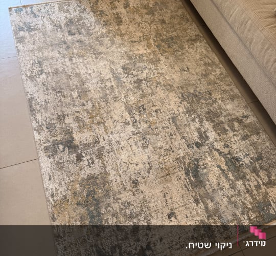 שטיח על רצפה ליד ספה, ללא אנשים או טקסט.